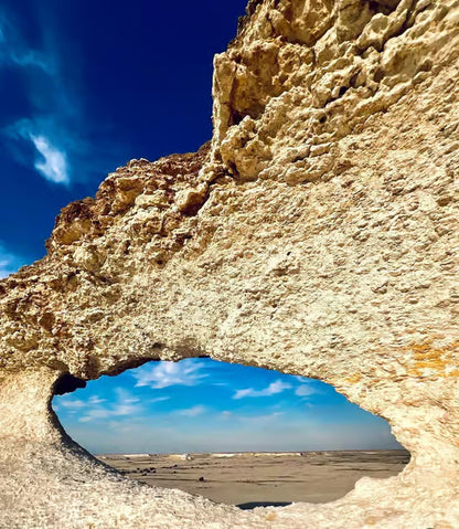 Doha: Westküste Katar, Kamelrennen und Wüstenskulpturen