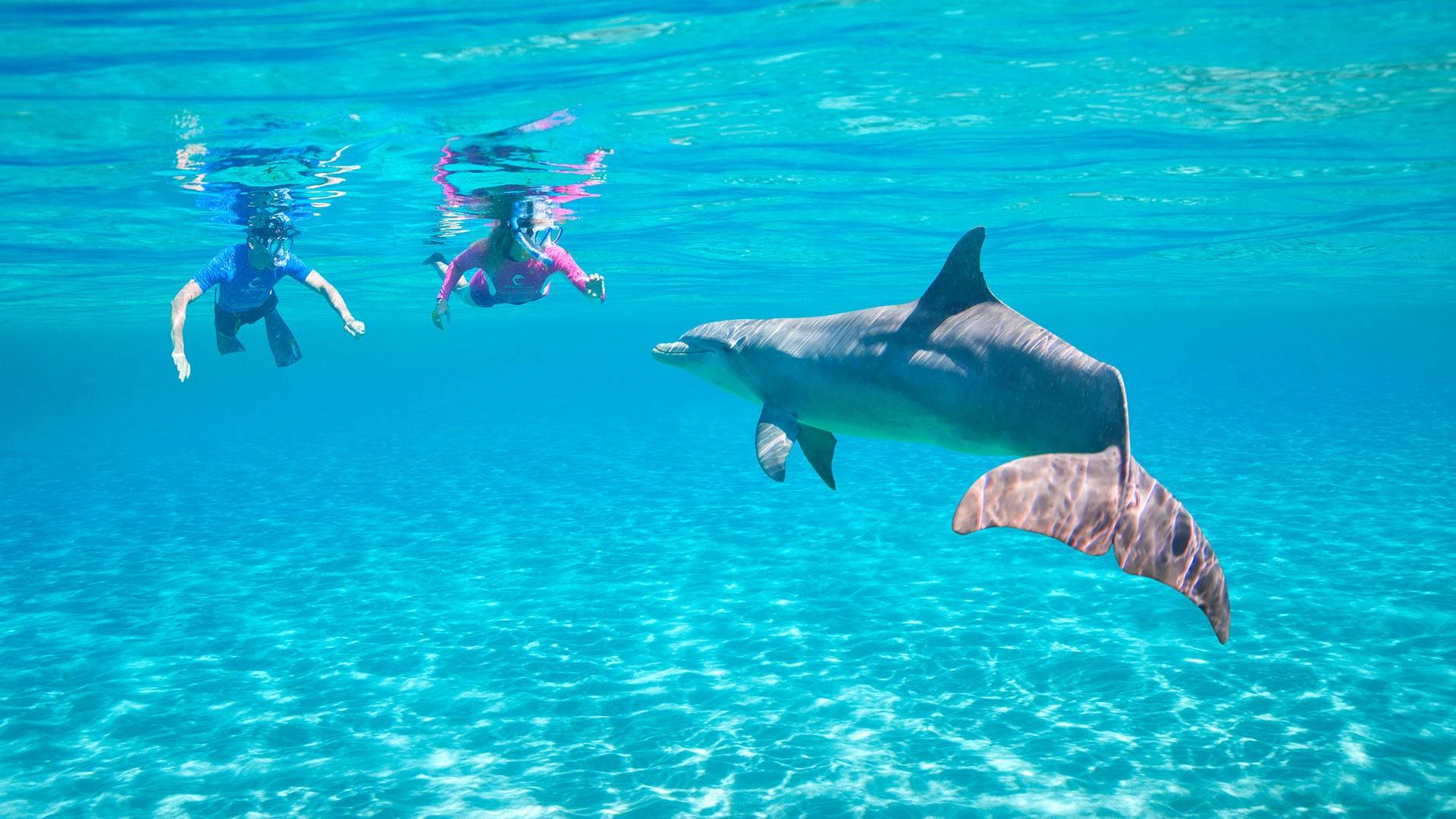 Blue Brothers Dalış El Gouna | Shouf Tedarikçi