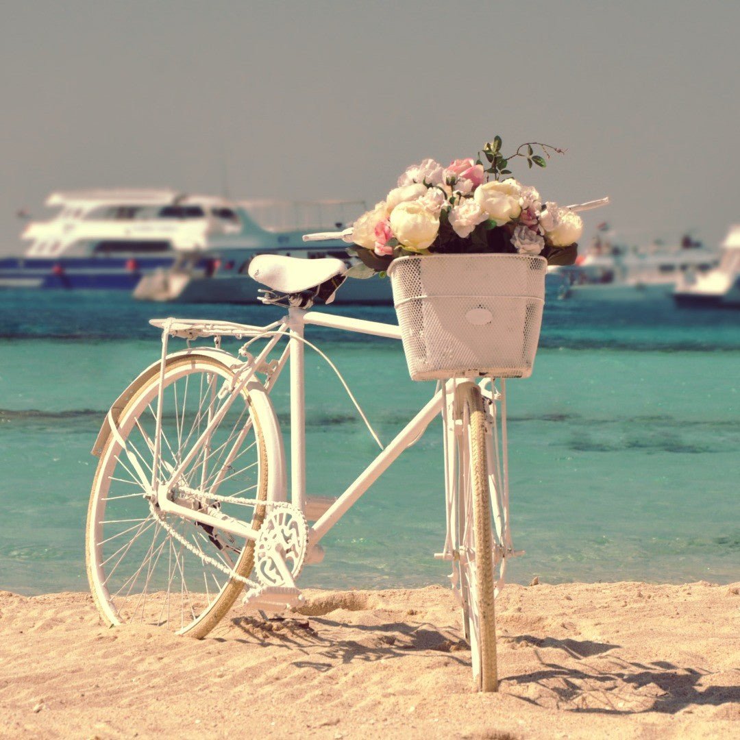 Hurghada: Passeio de barco pela ilha Hula Hula com mergulho com snorkel e almoço