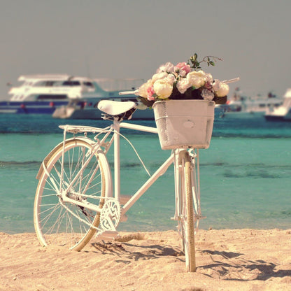 Hurghada: Passeio de barco pela ilha Hula Hula com mergulho com snorkel e almoço