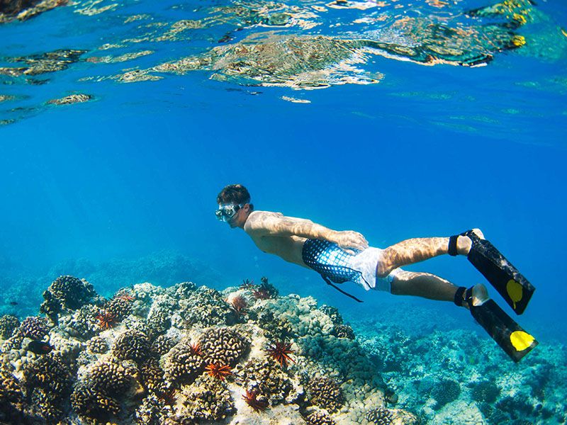 沙姆沙伊赫：乘船前往拉斯穆罕默德的浮潜之旅