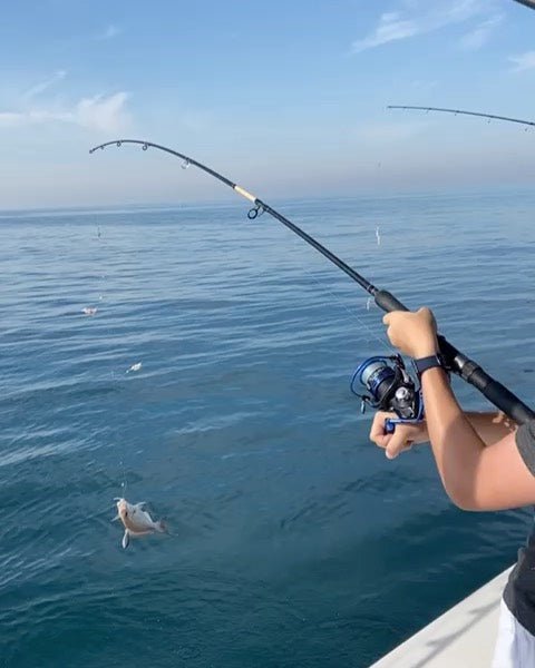 Dubai: Deep Sea Fishing Experience