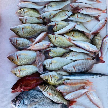 Dubai: Deep Sea Fishing Experience