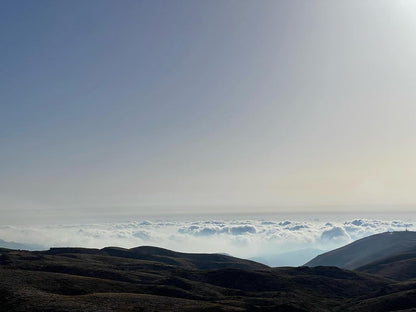 Faraya: buggyverhuurtour