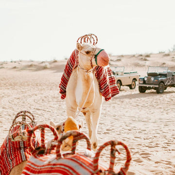 Dubai: Tour di Conservazione Platinum & Colazione ad Al-Maha