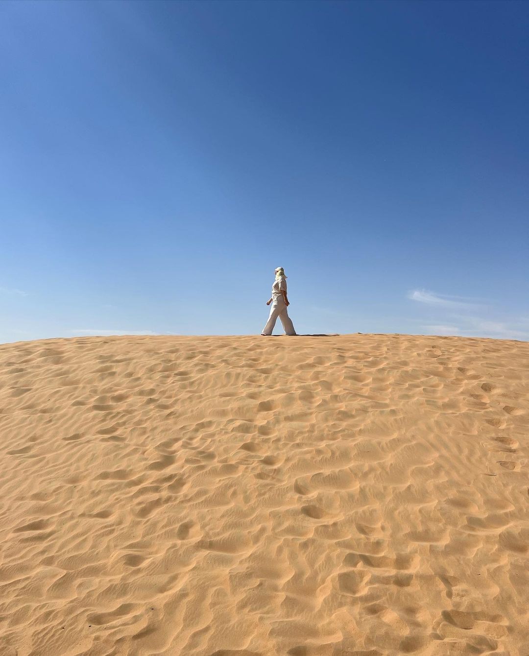 Dubai: Royal Falconry Training Experience (Private Cars)