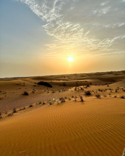 Dubai: Royal Falconry Training Experience (Private Cars)