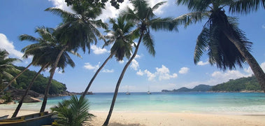 Mahé: Explore a Ilha de Mahé em uma excursão privada personalizada para pequenos grupos