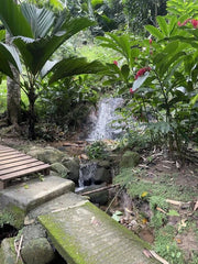 Mahé: Explore a Ilha de Mahé em uma excursão privada personalizada para pequenos grupos