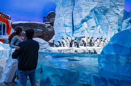 Fra Dubai: SeaWorld-opplevelse og Sheikh Zayed Grand Mosque-tur