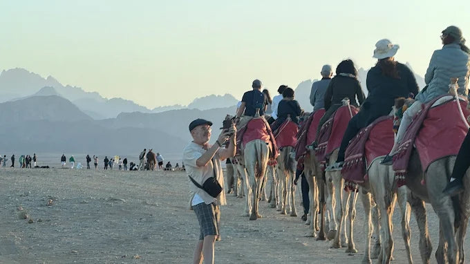 赫尔格达：沙漠探险、徒步旅行、绿洲和观星之旅