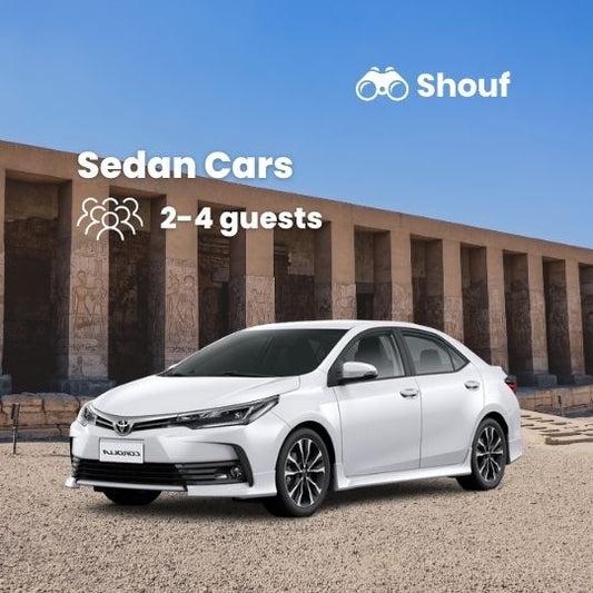 Луксор: индивидуальная экскурсия в храмы Дендеры и Абидоса с трансфером из отеля