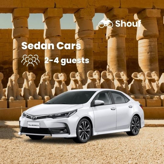 Луксор: частный обзорный тур к храму Карнак, Луксорскому храму и главным достопримечательностям города