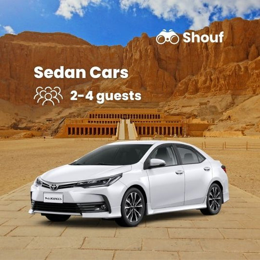 룩소르: 운전기사 포함 프라이빗 승용차 또는 밴 대여(도시 하이라이트)