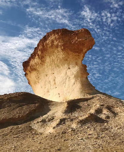Doha: Westküste Katar, Kamelrennen und Wüstenskulpturen