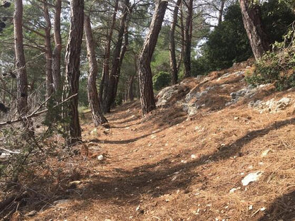 Chouwen: Privates geführtes Wandererlebnis