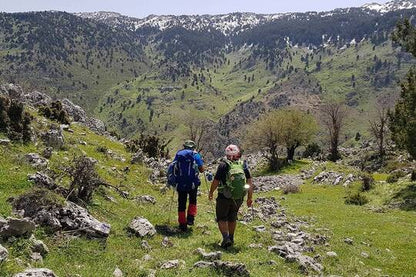 Von Beirut: Bcharre, Qadisha Valley & Cedars Tour