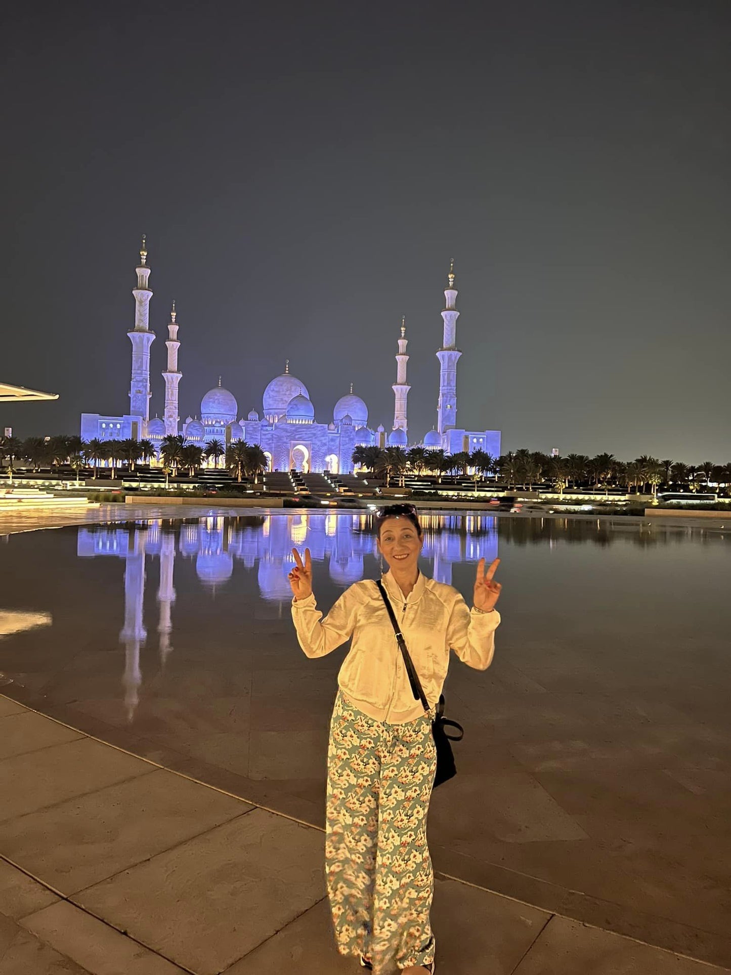 De Dubai: viagem de dia inteiro a Abu Dhabi com motorista que fala inglês