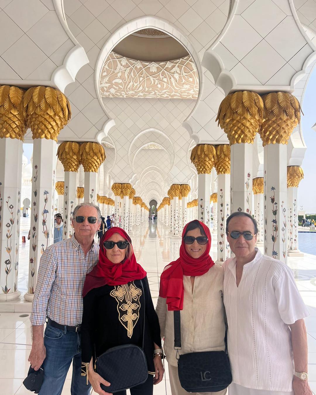De Dubai: viagem de dia inteiro a Abu Dhabi com motorista que fala inglês