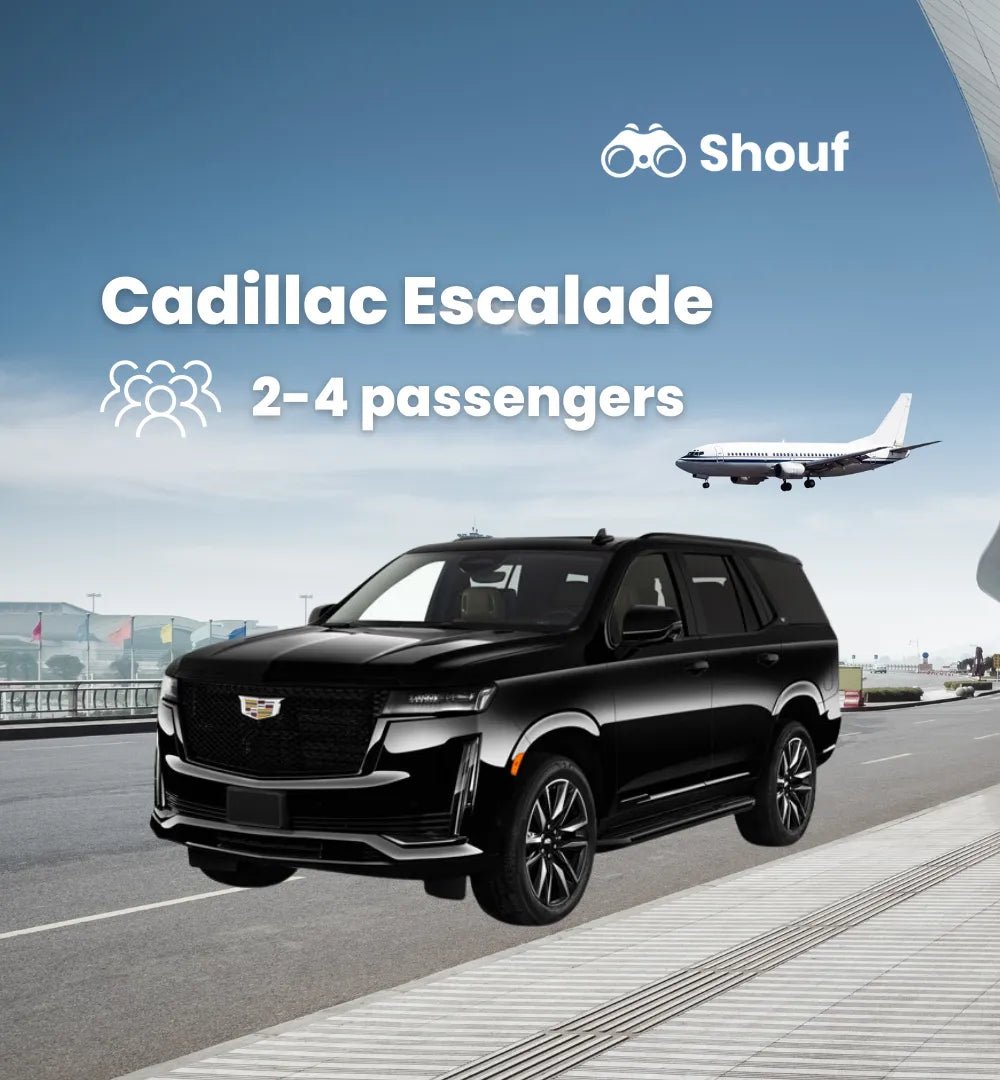 Doha: Transfer zum internationalen Flughafen Hamad mit Van oder Auto