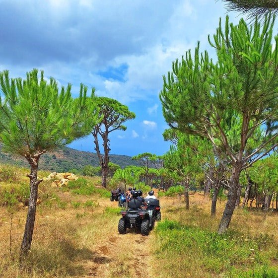 Binnay : visite guidée en VTT
