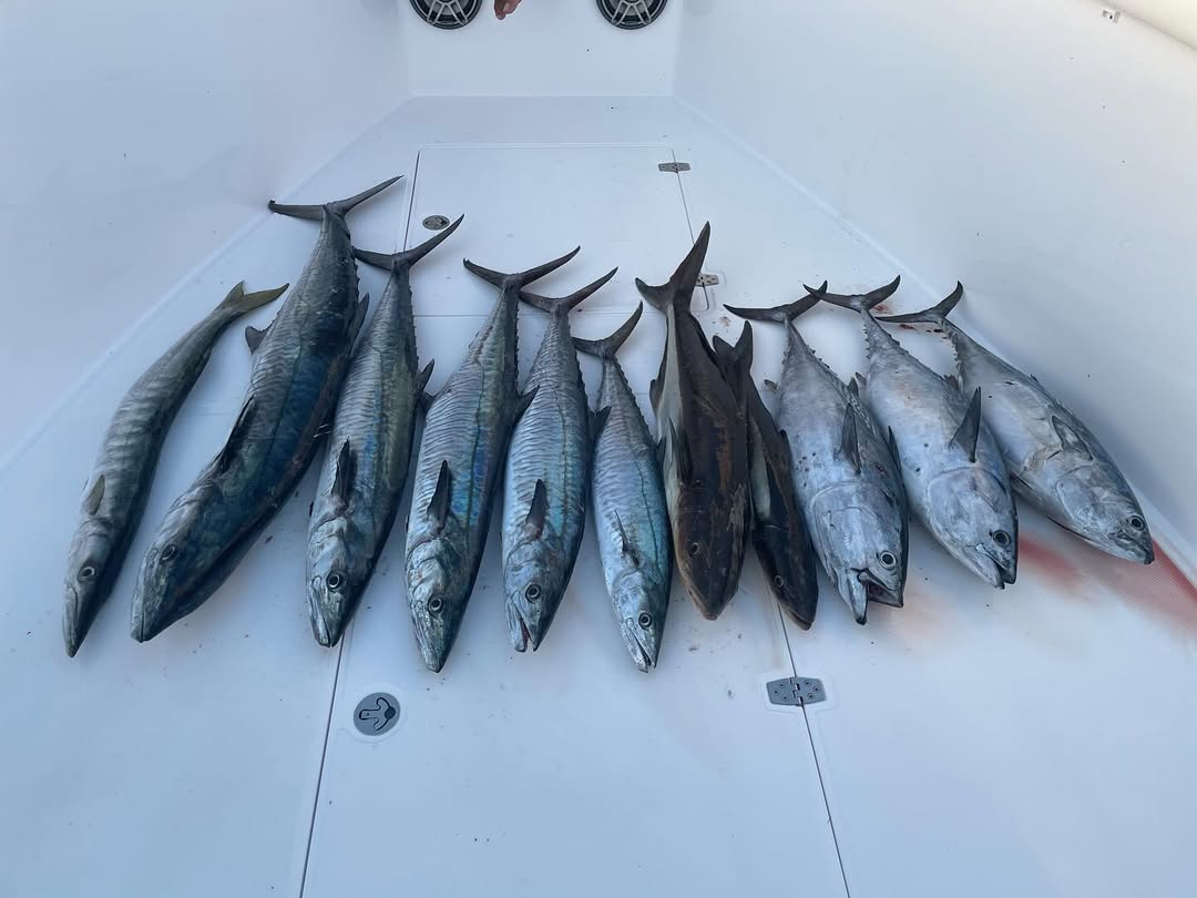 الدوحة: رحلة صيد خاصة في عرض البحر في قطر