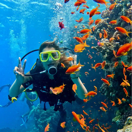 Sharm El Sheikh: Kurs PADI Advanced Open Water Diver