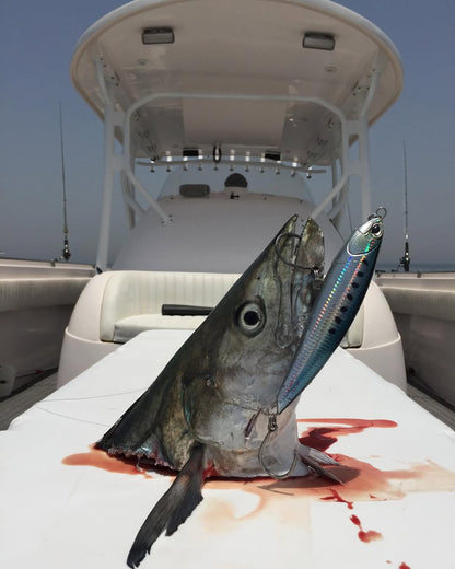 الدوحة: رحلة صيد خاصة في عرض البحر في قطر