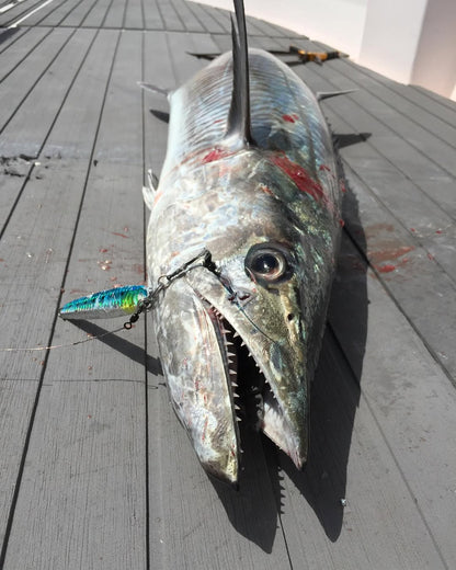 الدوحة: رحلة صيد خاصة في عرض البحر في قطر