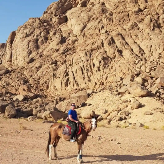 Sharm El Sheikh: Geführter morgendlicher Ausritt in der Wüste