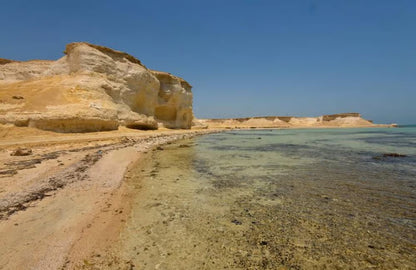 Doha: Westküste Katar, Kamelrennen und Wüstenskulpturen