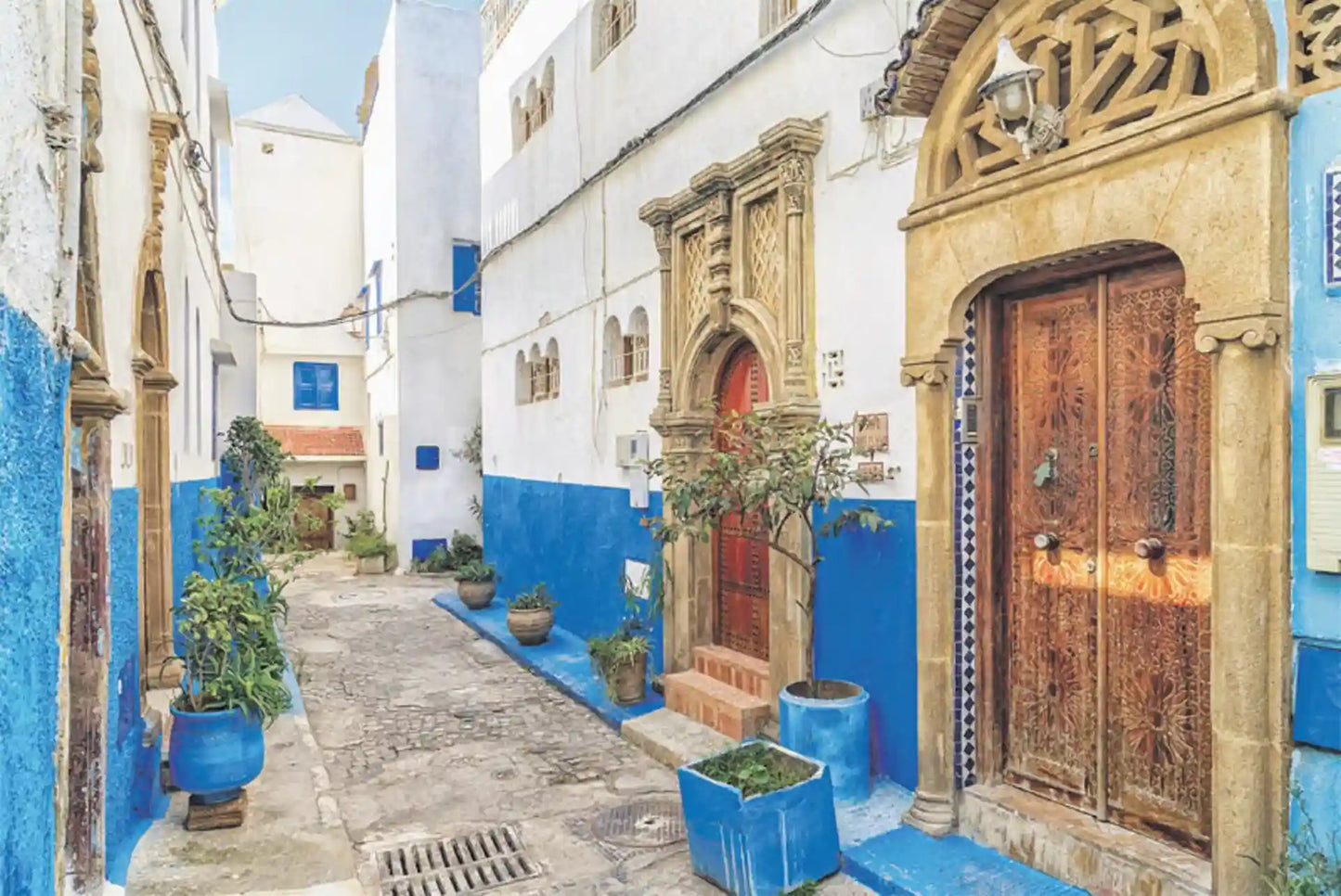 From Fès ou Meknès : excursion d’une journée à Rabat avec visite guidée