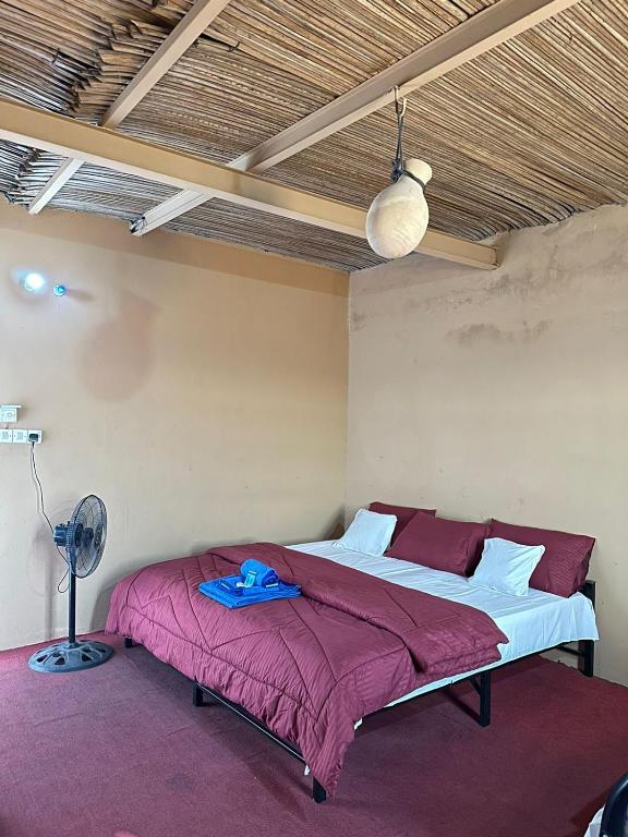 Salalah: Overnatting i ørkencamping i Empty Quarter Rub al Khali