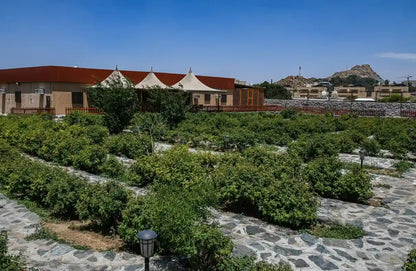 From Jeddah: Taif Mountains and City Full-Day Tour with Lunch