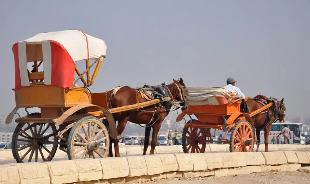 Cairo: Private Half Day Pyramids Tour by Camel Ride or Horse Carriage