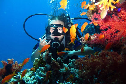 Sharm El Sheikh: Ras Muhammad Nasjonalpark Snorklingstur med Hvitøya