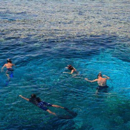 Marsa Alam: excursie cu barca de snorkeling la Marsa Mubarak cu prânz