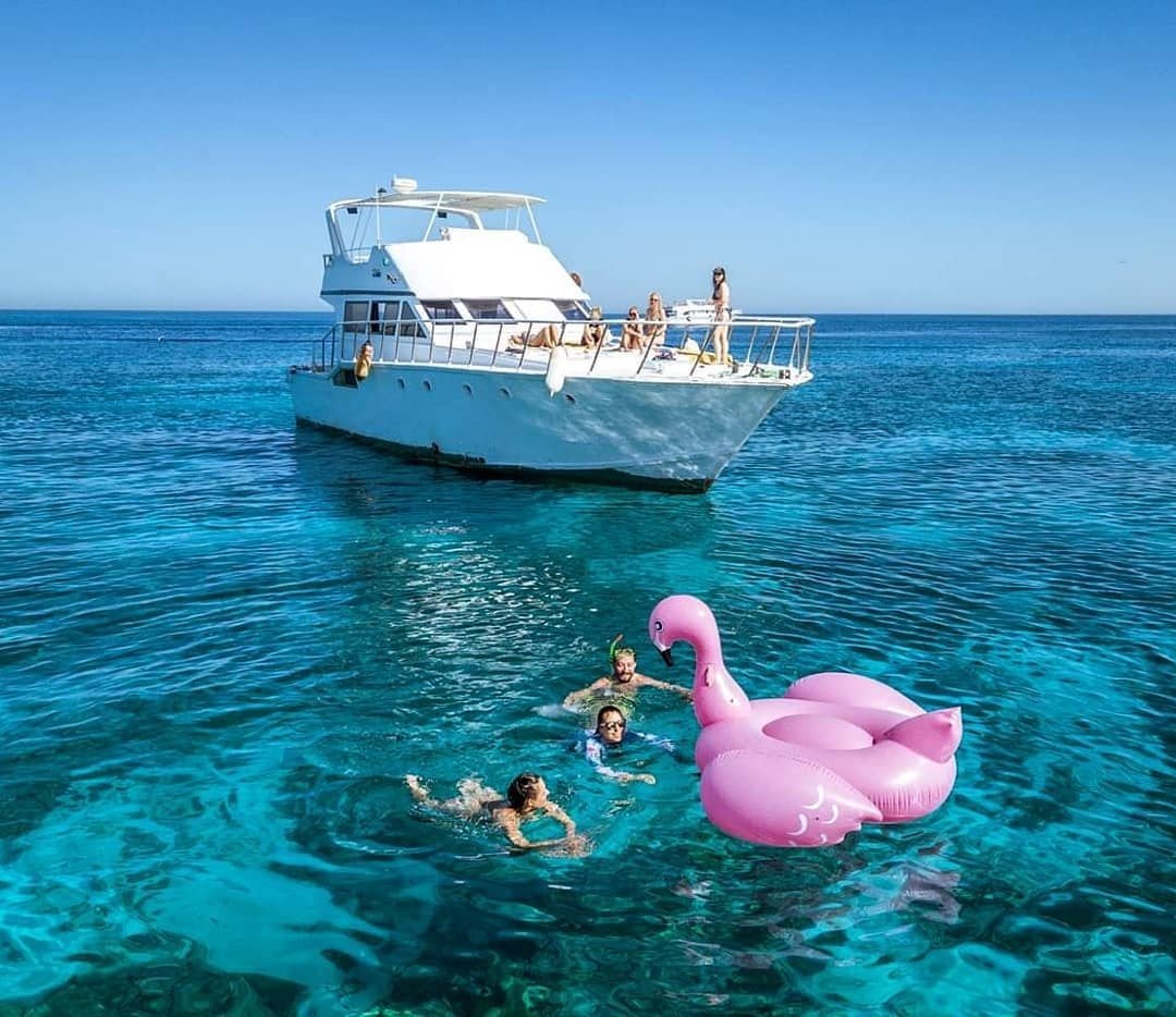 El Gouna: Private Boat Trip to Bayoud or Tawilah Island