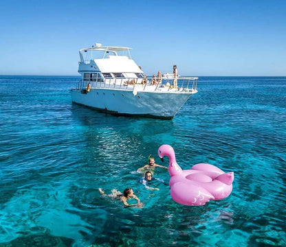 El Gouna: Private Boat Trip to Bayoud or Tawilah Island
