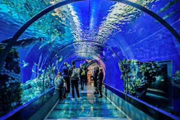 Hurghada: Grand Aquarium Entrance Tickets