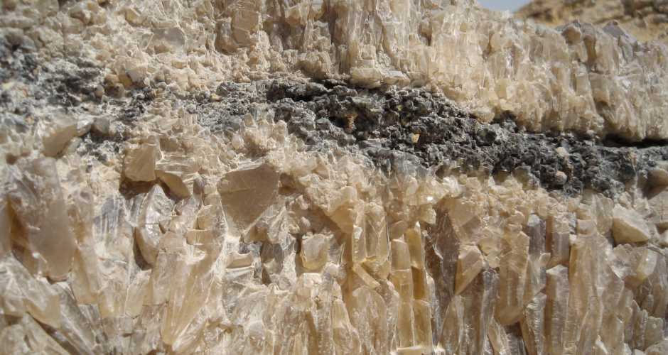 From Cairo: Black and White Desert and Bahiriya Oasis Guided Tour