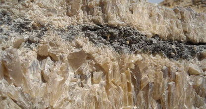 From Cairo: Black and White Desert and Bahiriya Oasis Guided Tour