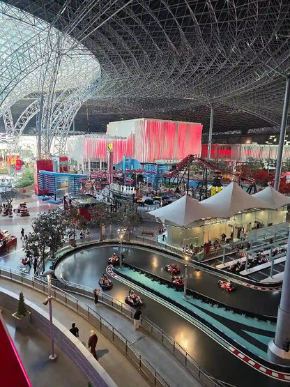 Абу-Даби: Частный тур с билетом на вход в Ferrari World
