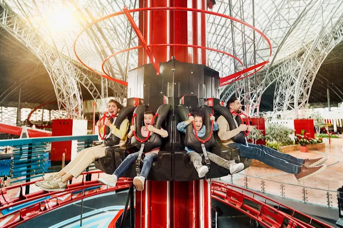 Абу-Даби: Частный тур с билетом на вход в Ferrari World
