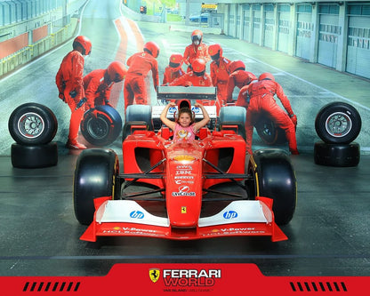 Абу-Даби: Частный тур с билетом на вход в Ferrari World