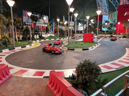 Абу-Даби: Частный тур с билетом на вход в Ferrari World