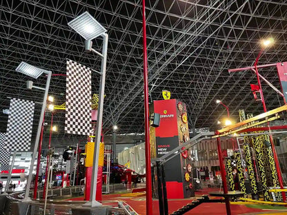 Абу-Даби: Частный тур с билетом на вход в Ferrari World