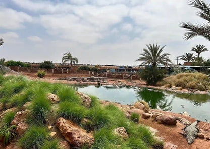 Agadir: Crocoparc and Tree-Climbing Goats Shared Trip