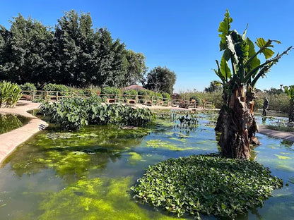 Agadir: Crocoparc and Tree-Climbing Goats Shared Trip