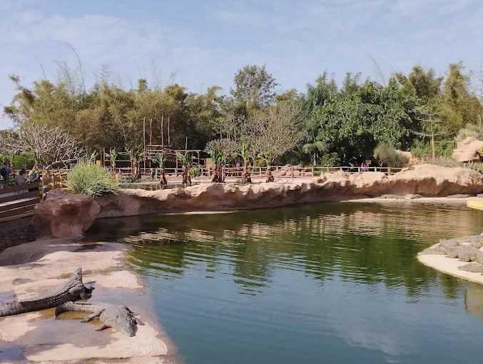 Agadir: Crocoparc and Tree-Climbing Goats Shared Trip